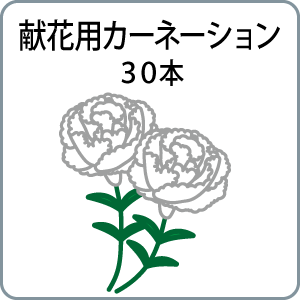 献花用カーネーション